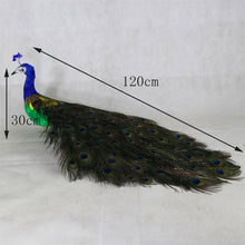 Load image into Gallery viewer, Imitation feather peacock window decoration household holiday decoration photo wedding model props drag tail peafowl